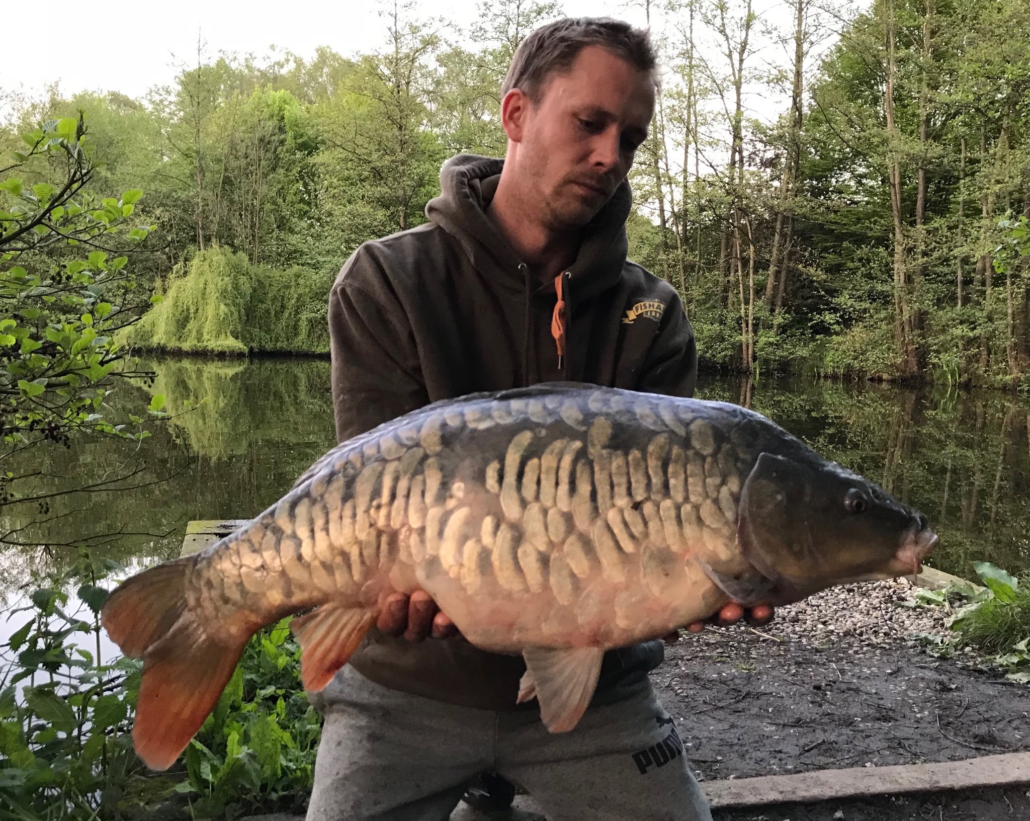 Bentley Fishery Carp Lake Essex