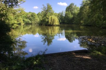 The Lake Bentley Fishery