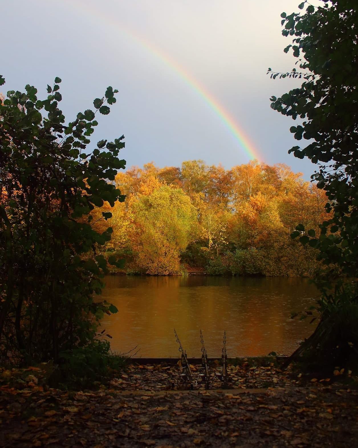 The Lake Bentley Fishery